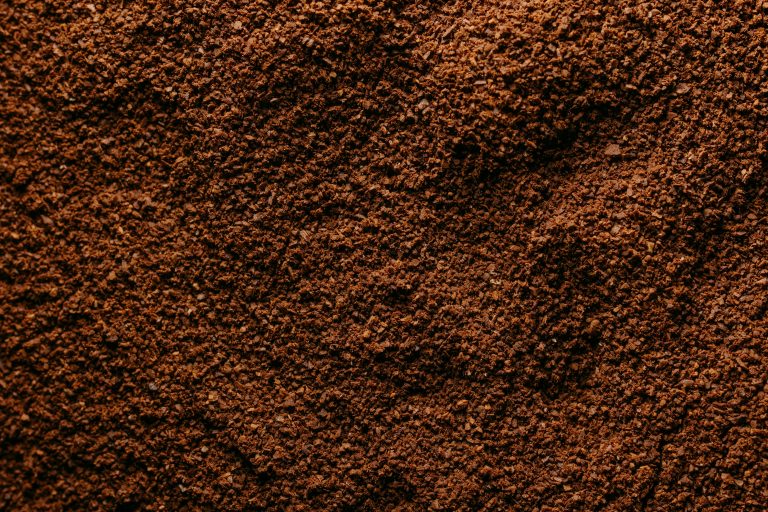 5 DIY Coffee Masks That Will Transform Your Skin